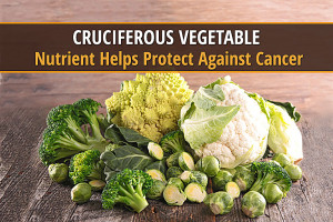 Cruciferos-Vegetable